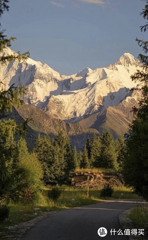 宿舍必备神器?苏泊尔电炒锅大揭秘!